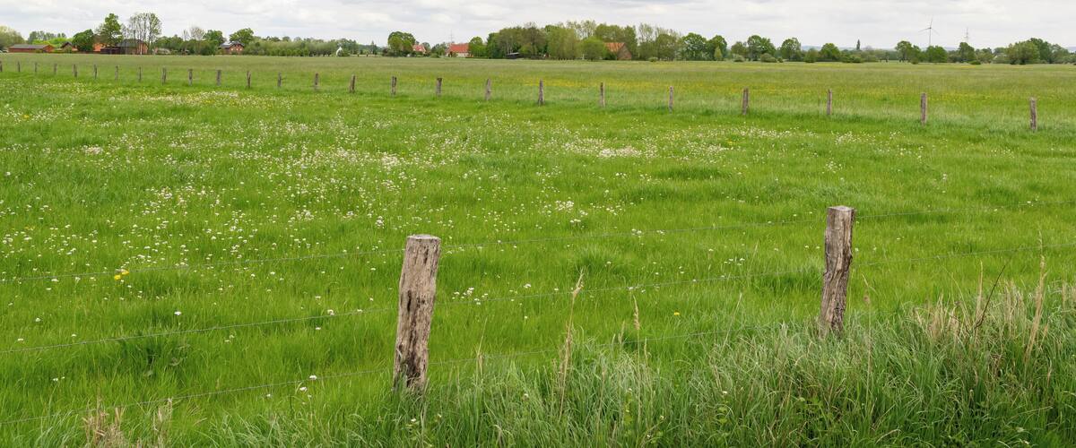 Naturschutzgebiet Gunnewiesen in Delbrück und Salzkotten, Kreis Paderborn; Teilgebiet in Salzkotten