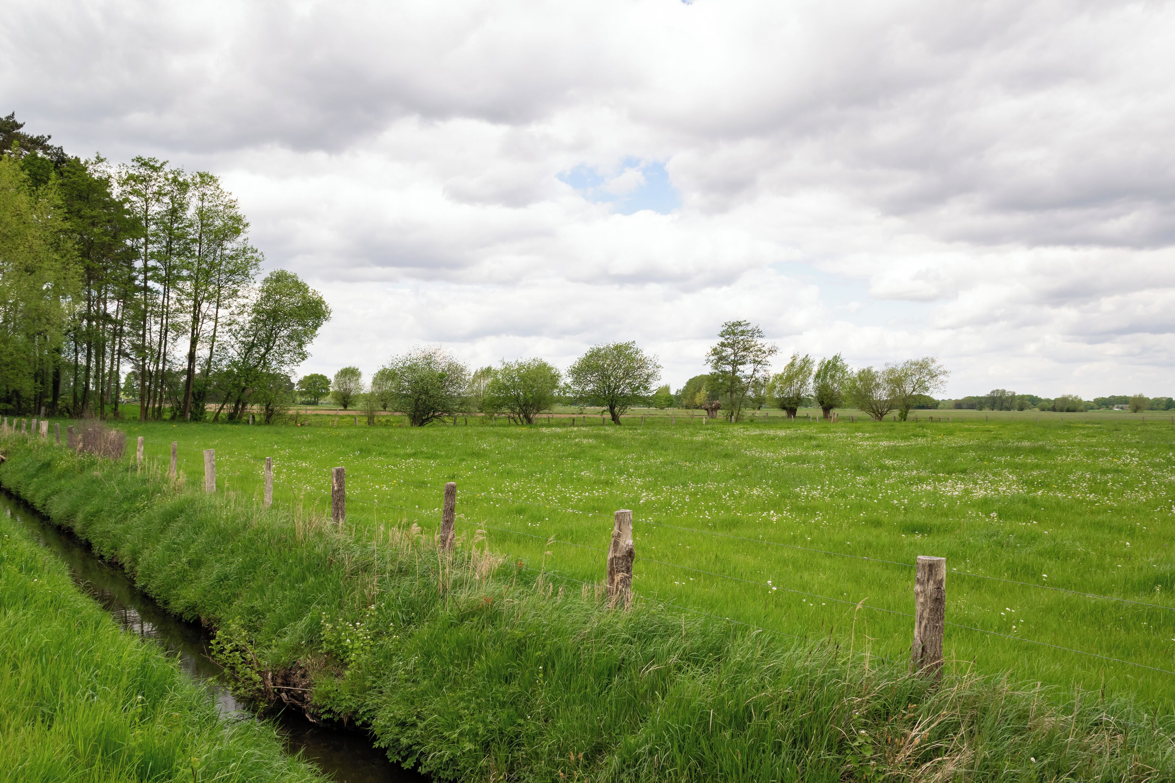 Naturschutzgebiet Gunnewiesen in Delbrück und Salzkotten, Kreis Paderborn; Teilgebiet in Salzkotten, Entwässerungsgraben