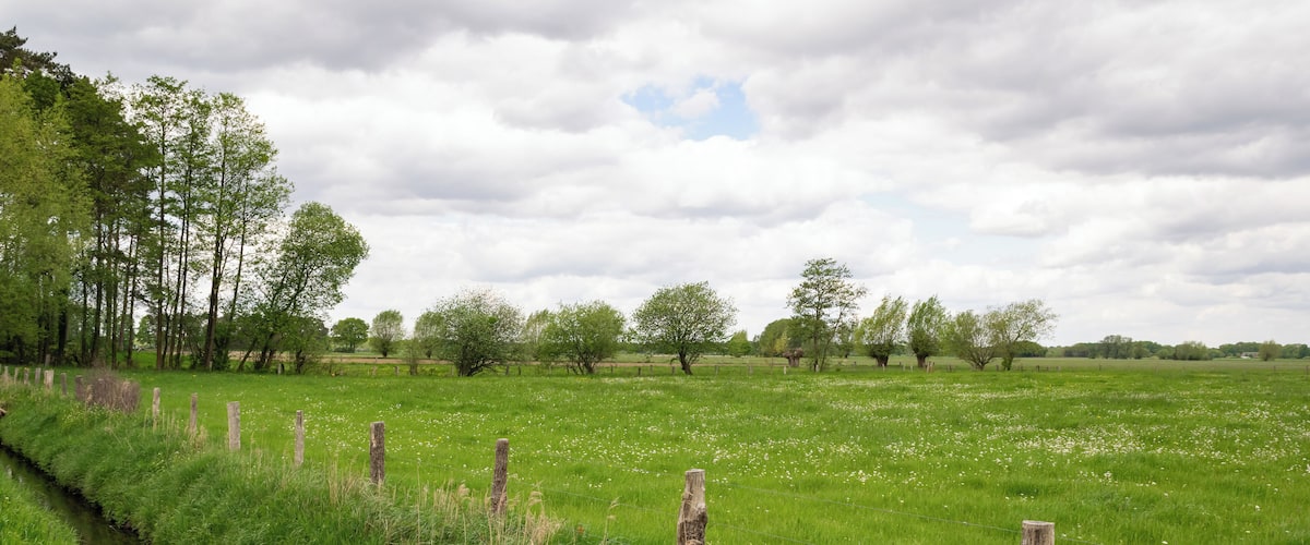 Naturschutzgebiet Gunnewiesen in Delbrück und Salzkotten, Kreis Paderborn; Teilgebiet in Salzkotten, Entwässerungsgraben