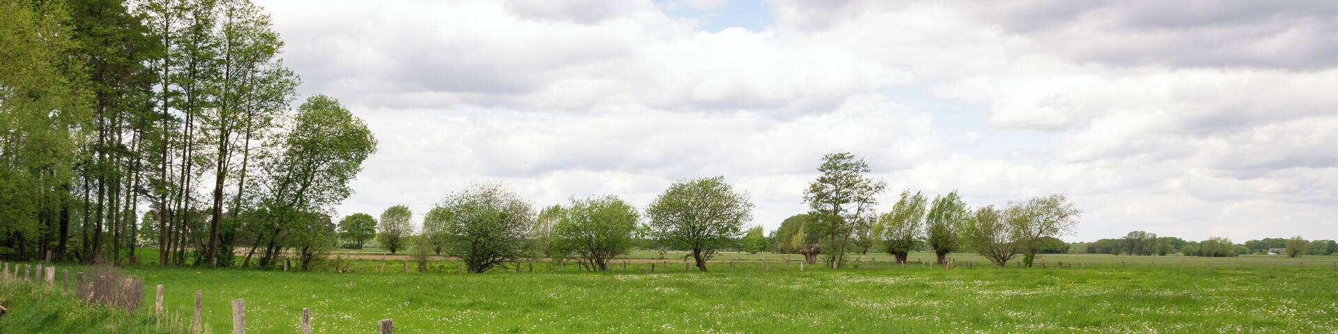 Naturschutzgebiet Gunnewiesen in Delbrück und Salzkotten, Kreis Paderborn; Teilgebiet in Salzkotten, Entwässerungsgraben