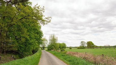 Naturschutzgebiet Gunnewiesen in Delbrück und Salzkotten, Kreis Paderborn; Teilgebiet in Salzkotten