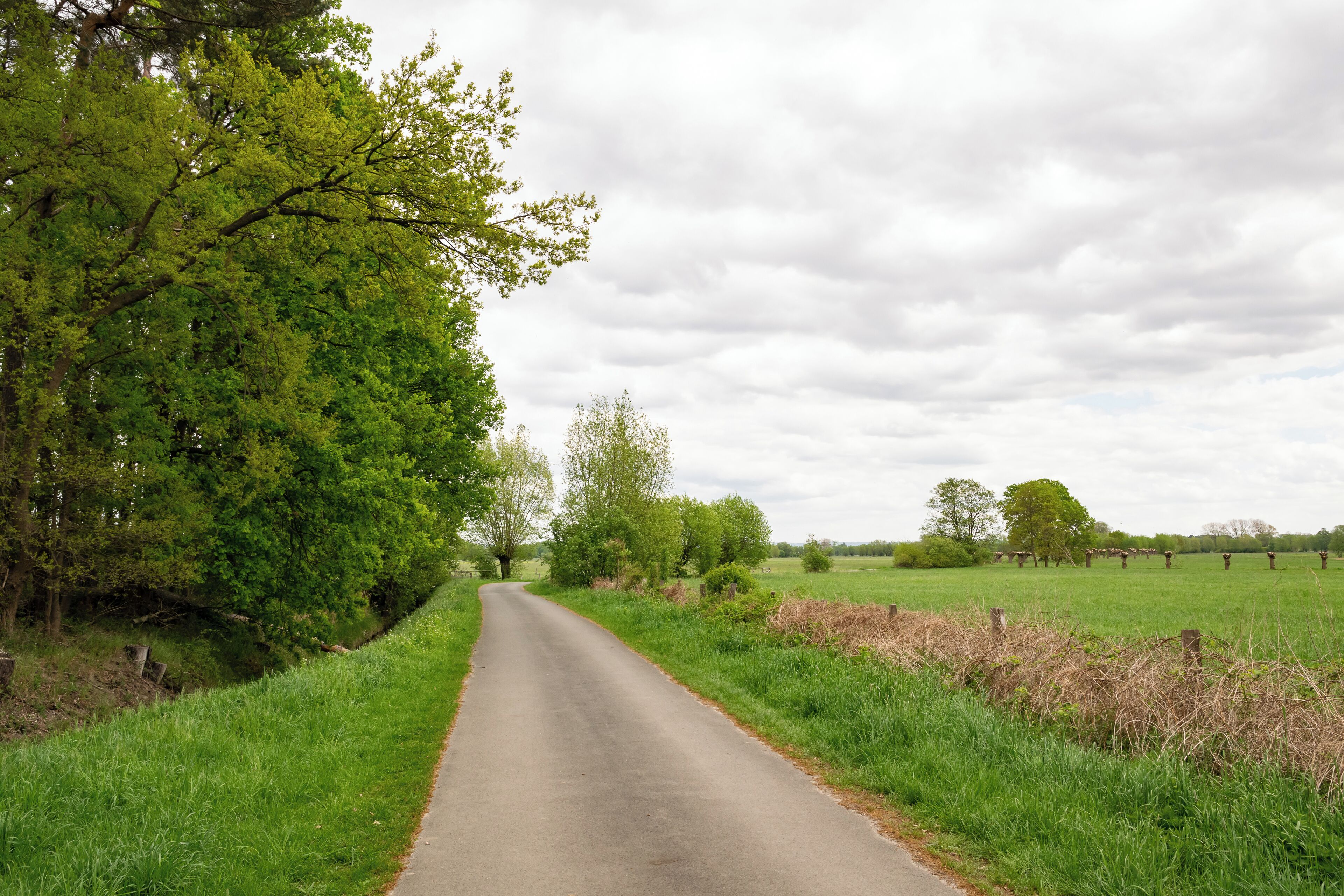 A narrow rural road flanked by lush green fields and trees under a cloudy sky.