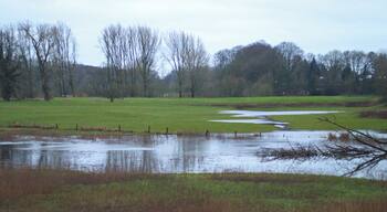 Überflutetes Grünland in der Werseaue bei Gelmer; Naturschutzgebiet „Emsaue“