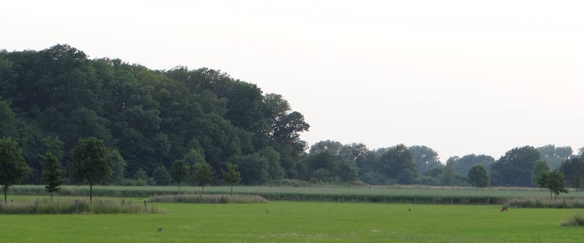 Naturschutzgebiet "Latumer Bruch" zwischen Krefeld-Linn und Meerbusch-Lank-Latum