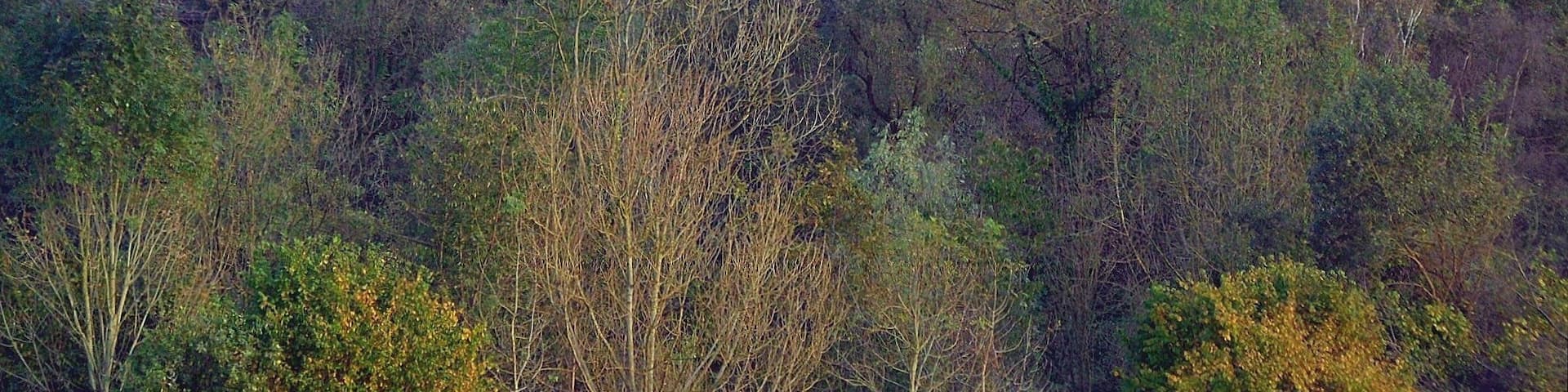 Wuppertal-Schöller: protestant parish church (centre), and defence tower of Gut Schöller (right); in background premises for limestone mining; October 2014