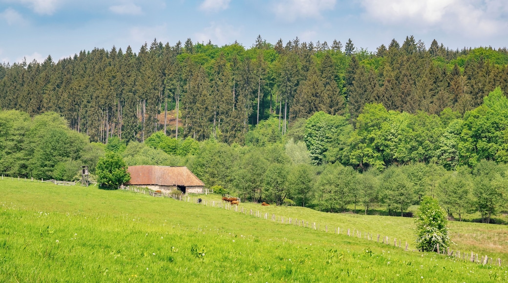 Naturschutzgebiet Pölinxer Grund, Warburg-Scherfede, Kreis Höxter