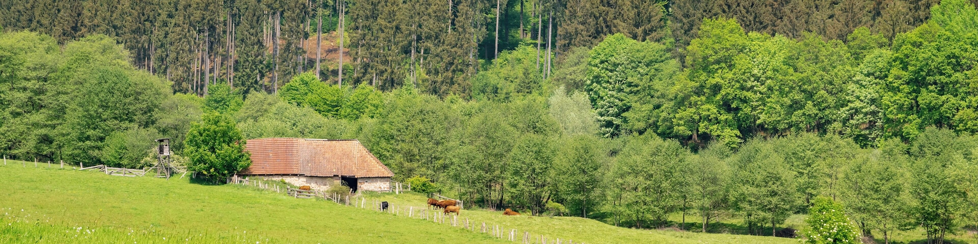 Naturschutzgebiet Pölinxer Grund, Warburg-Scherfede, Kreis Höxter
