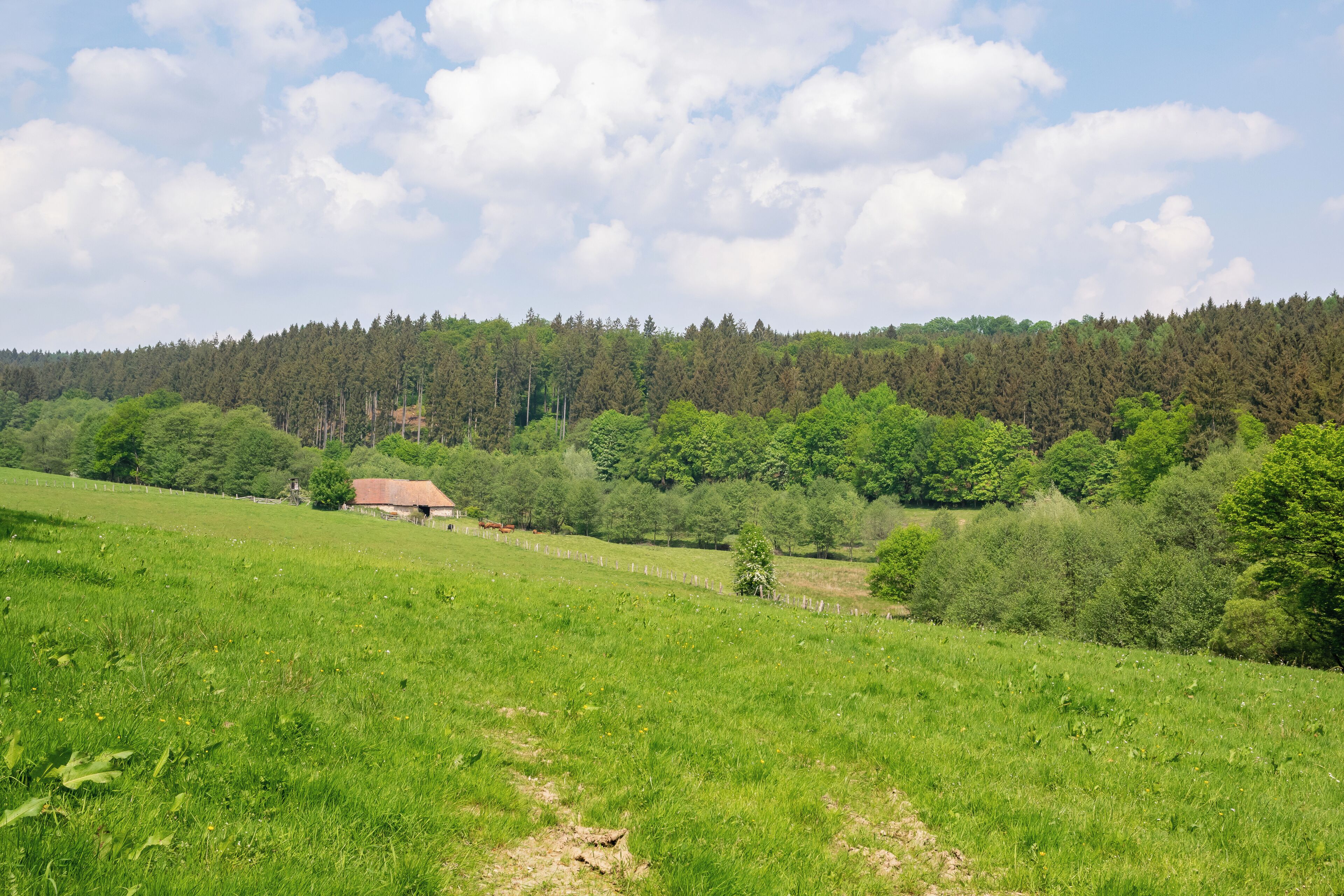 Naturschutzgebiet Pölinxer Grund, Warburg-Scherfede, Kreis Höxter