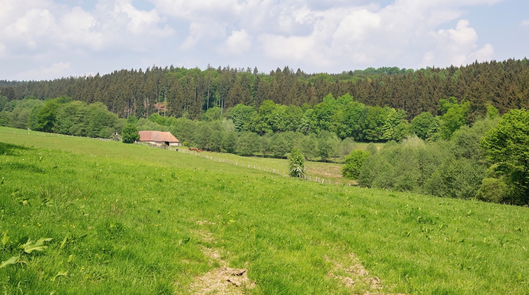 Naturschutzgebiet Pölinxer Grund, Warburg-Scherfede, Kreis Höxter