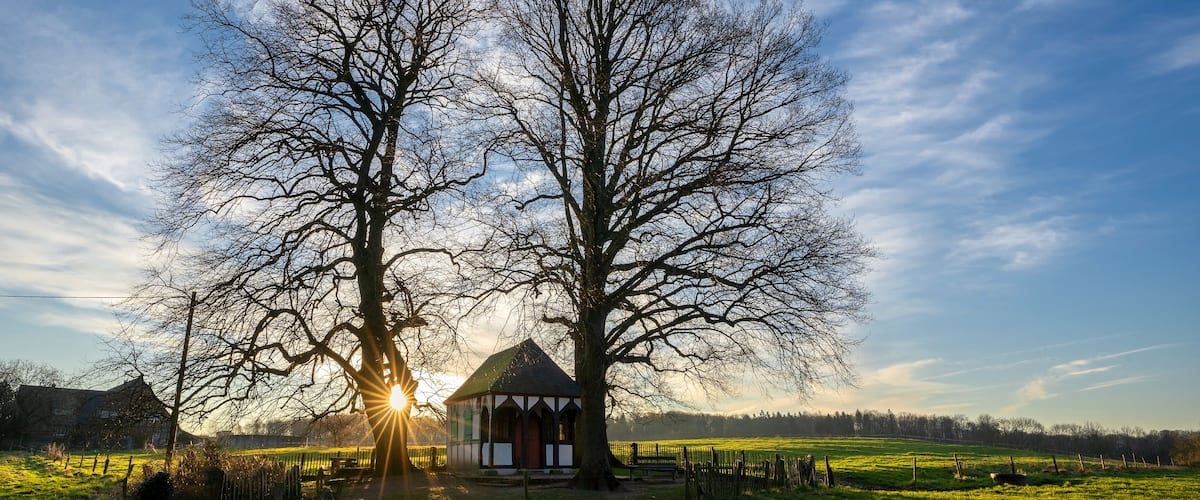 Ländliche Landschaft mit einem traditionellen Gebäude, umgeben von großen Bäumen und einem klaren Himmel.