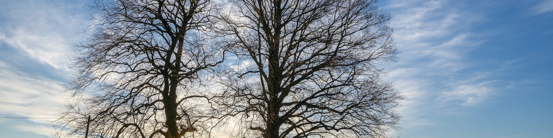 Ländliche Landschaft mit einem traditionellen Gebäude, umgeben von großen Bäumen und einem klaren Himmel.