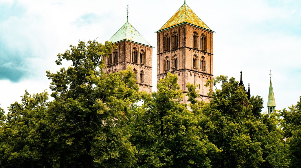 ๋ฉํด๋ ๋ฒ ํฌ