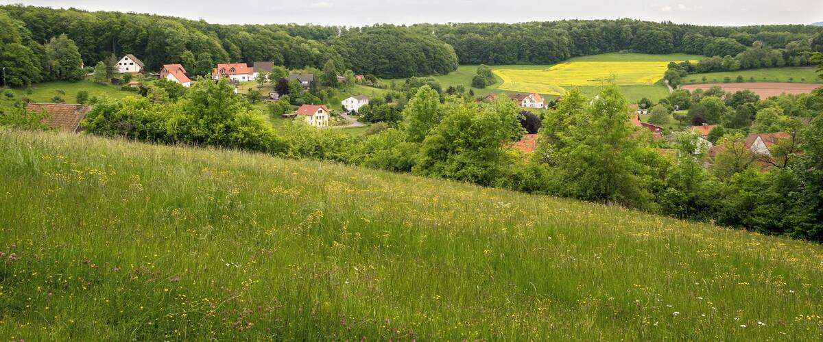 Ortsteil Bellenberg der Stadt Horn-Bad Meinberg