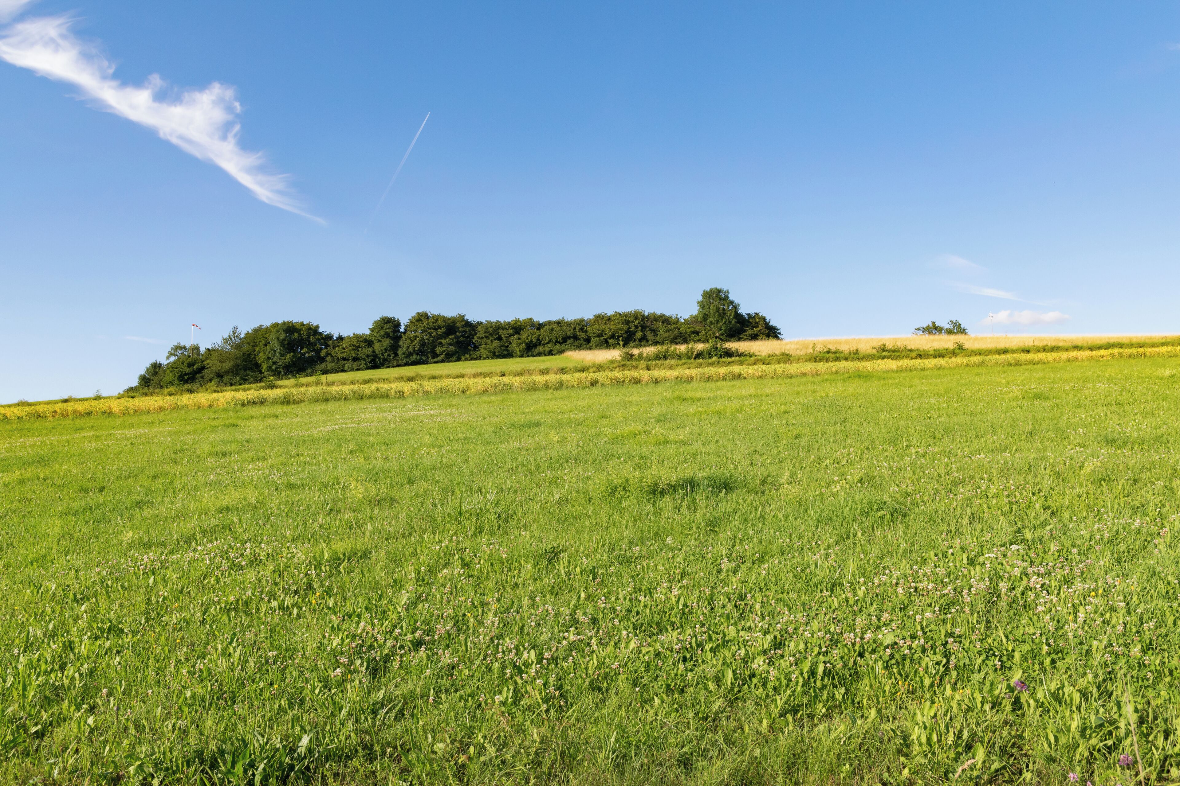 Erhebung Bellenberg bei Horn-Bad Meinberg-Bellenberg