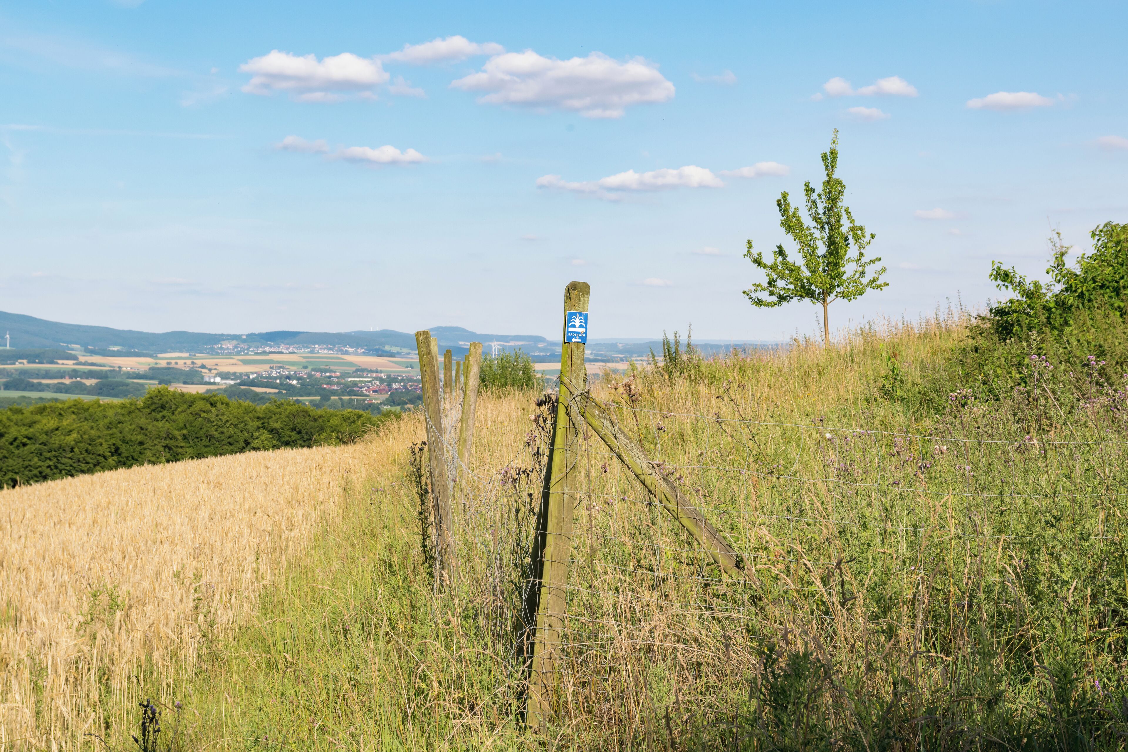 Landschaft nördlich Horn-Bad Meinberg-Bellenberg