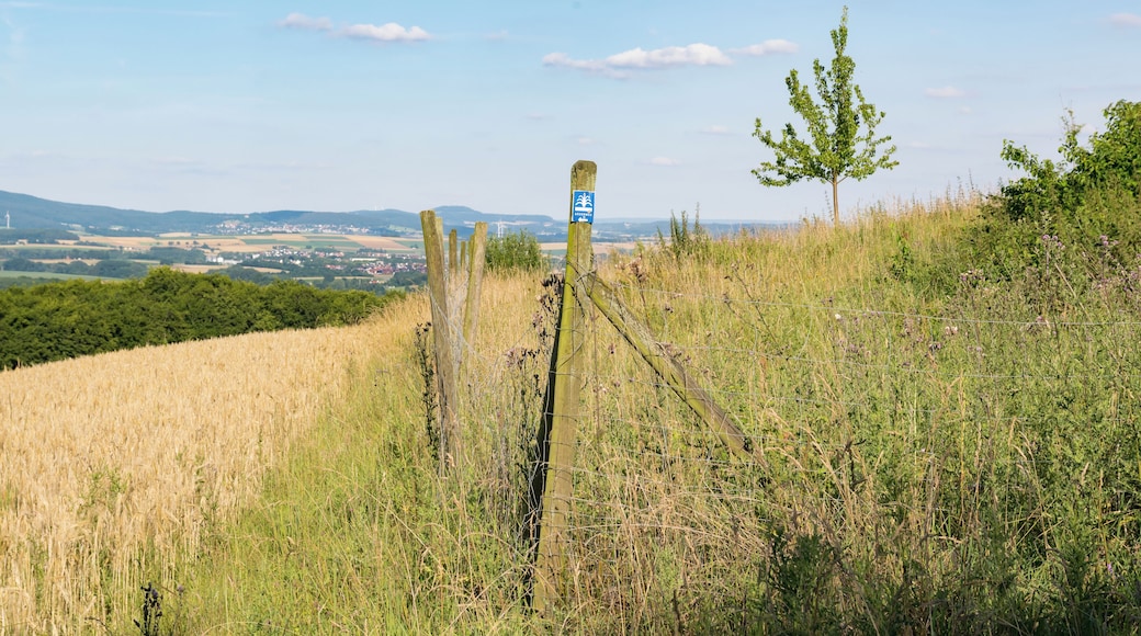 Landschaft nördlich Horn-Bad Meinberg-Bellenberg