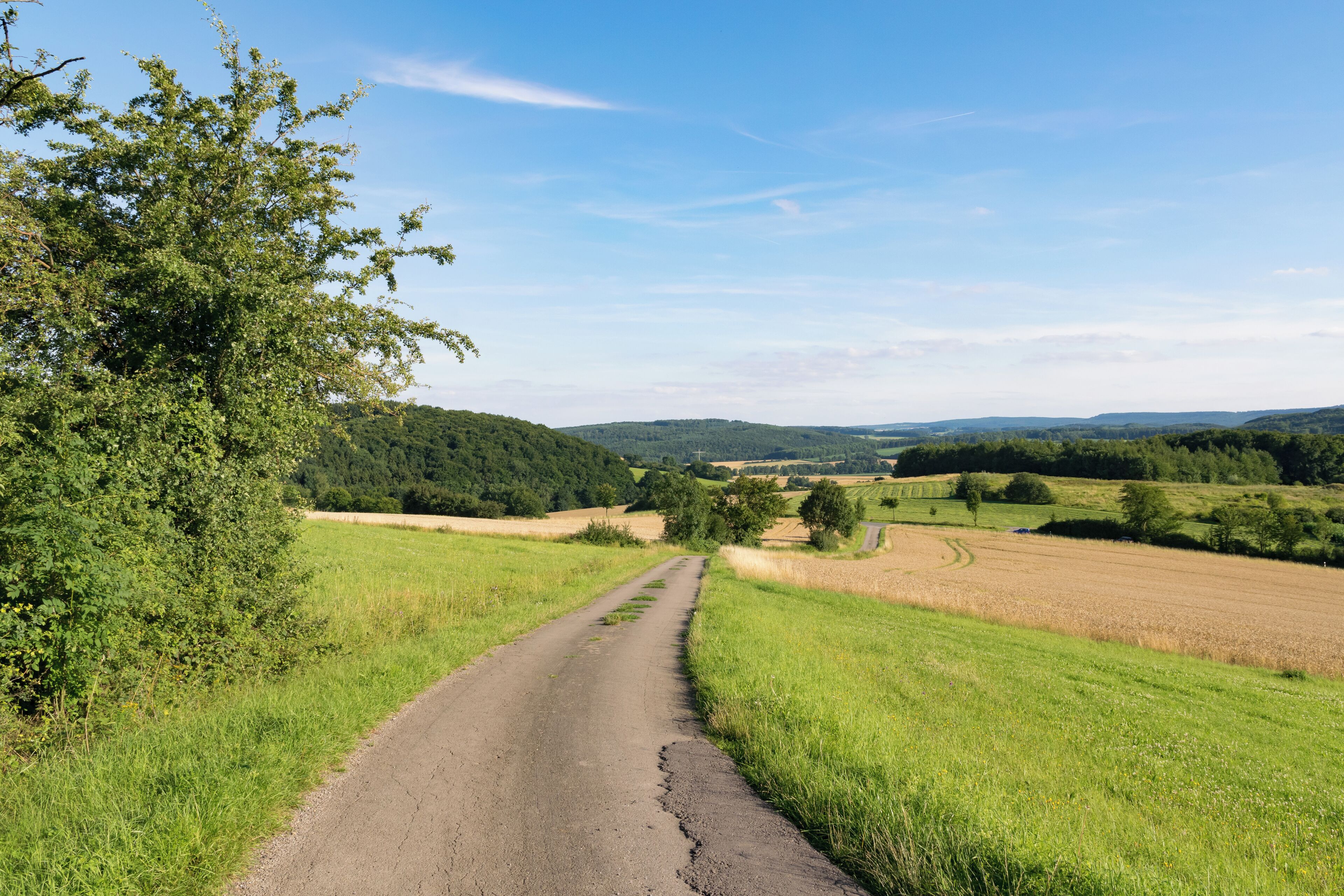 Landschaft westlich Horn-Bad Meinberg-Bellenberg