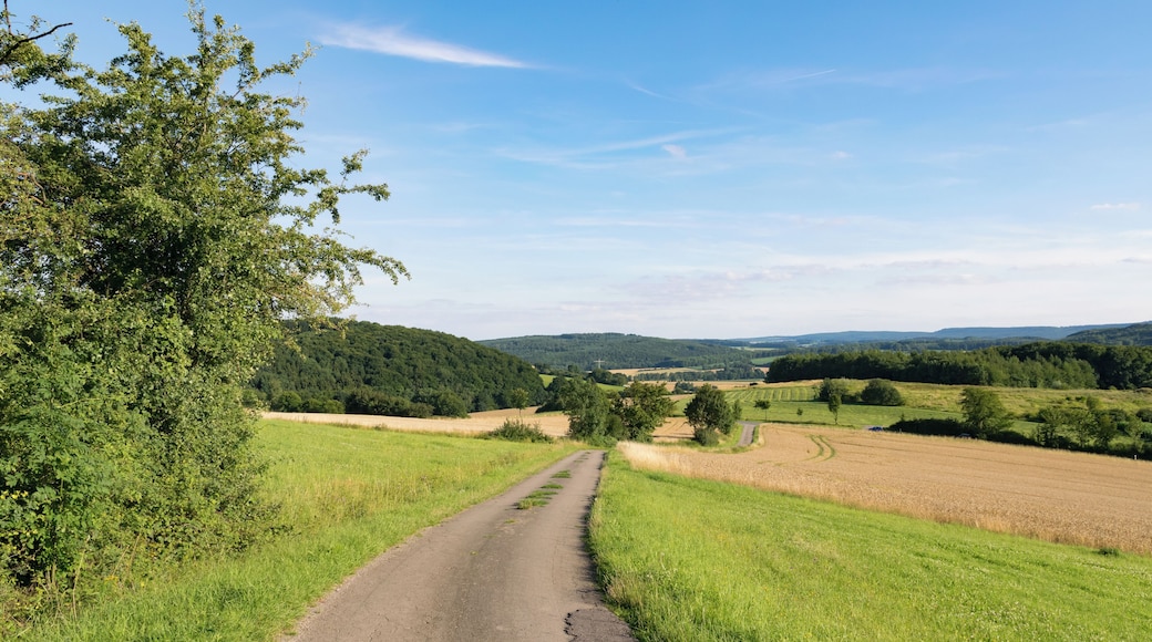 Landschaft westlich Horn-Bad Meinberg-Bellenberg