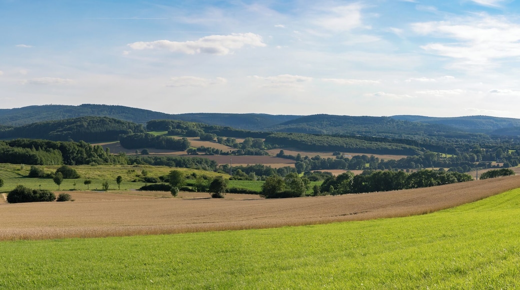 Blick vom Bellenberg bei Horn-Bad Meinberg-Bellenberg Richtung Süden