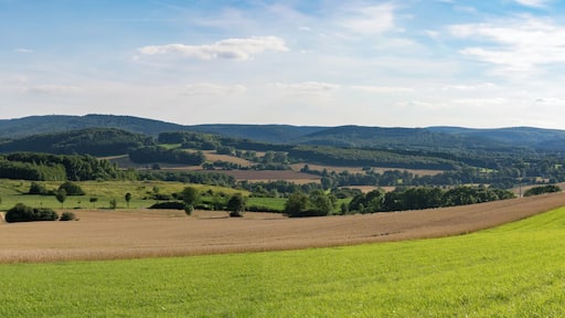 Blick vom Bellenberg bei Horn-Bad Meinberg-Bellenberg Richtung Süden