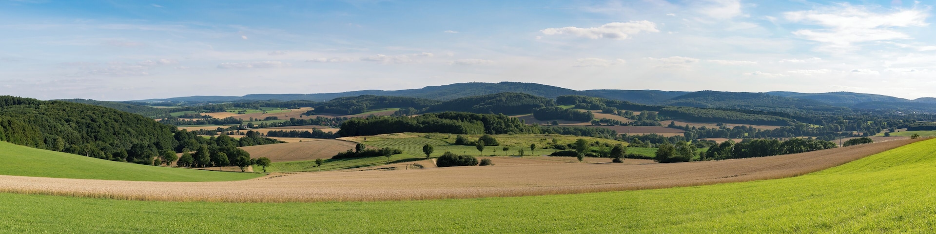 Blick vom Bellenberg bei Horn-Bad Meinberg-Bellenberg Richtung Süden