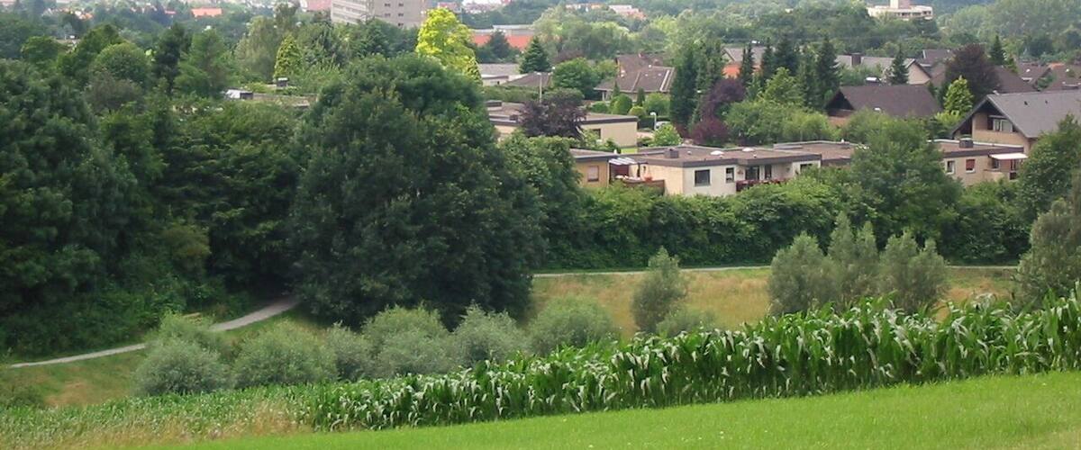 A rural landscape with a mix of residential buildings, a prominent tower, and surrounding greenery.
