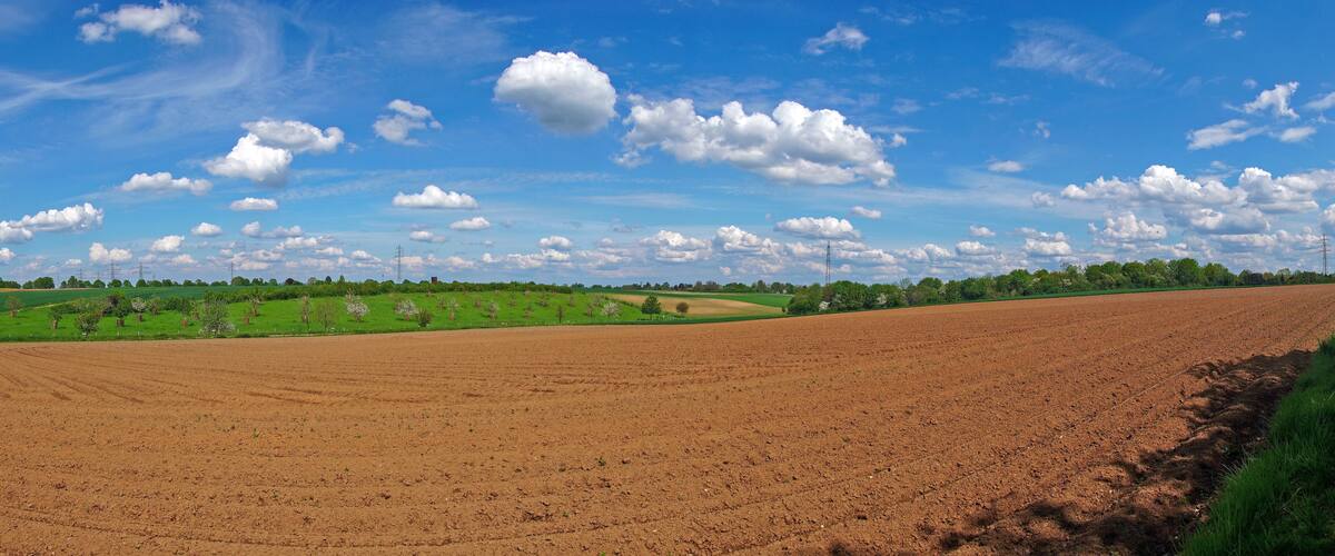 Ein weites Feld mit Feldern und einem freien Himmel mit vereinzelten Wolken.
