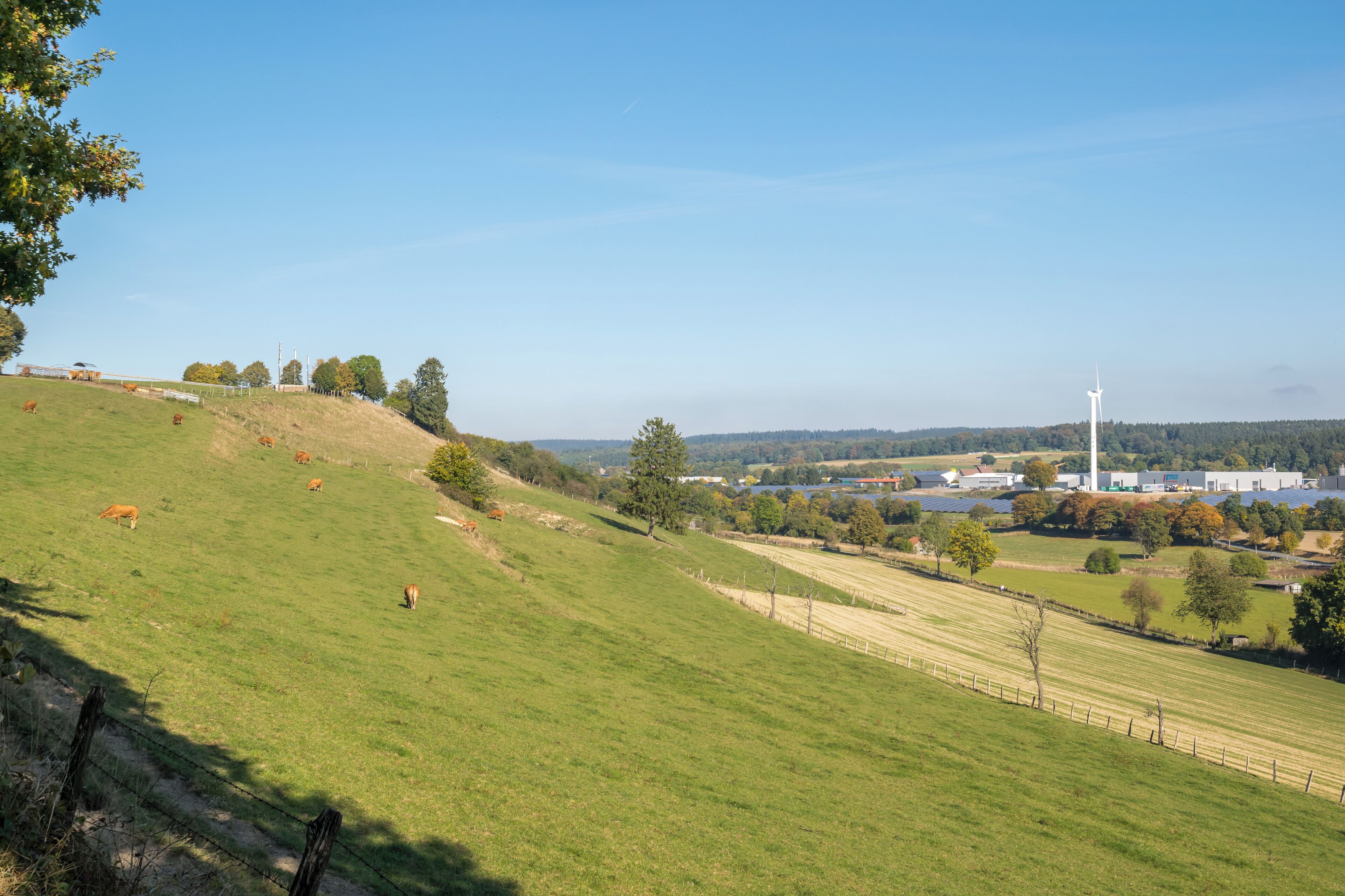Limberg in Altenbeken-Schwaney, rechts Gewerbegebiet Buke