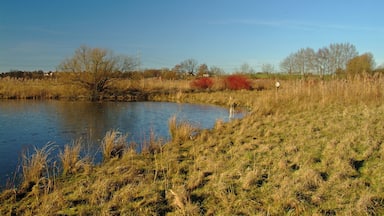 Little lake in nature reserve Fuellenbruch in Herford and in Hiddenhausen, District of Herford, North Rhine-Westphalia, Germany.