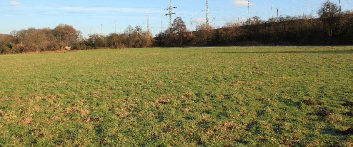 Hagen-Vorhalle: Blick vom namenlosen Wirtschaftsweg südwestlich des Hofs Niederste Hülsberg über eine Wiese in Richtung Nordosten, rechts der Bahndamm im Vorfeld des Rangierbahnhofs Vorhalle, ganz links im Hintergrund der Kaisberg; abgebildeter Bereich (bis zum Bahndamm) gelegen im Landschaftsschutzgebiet „Ruhraue/Auf der Bleiche“