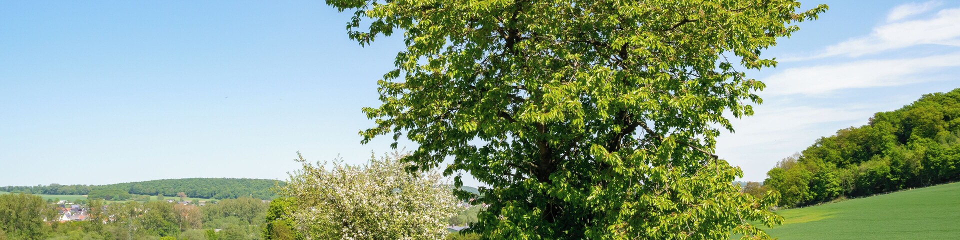 Landschaftsschutzgebiet Südlicher Kreis Höxter, hier am Asseler Feld zwischen Warburg-Rimbeck und -Ossendorf