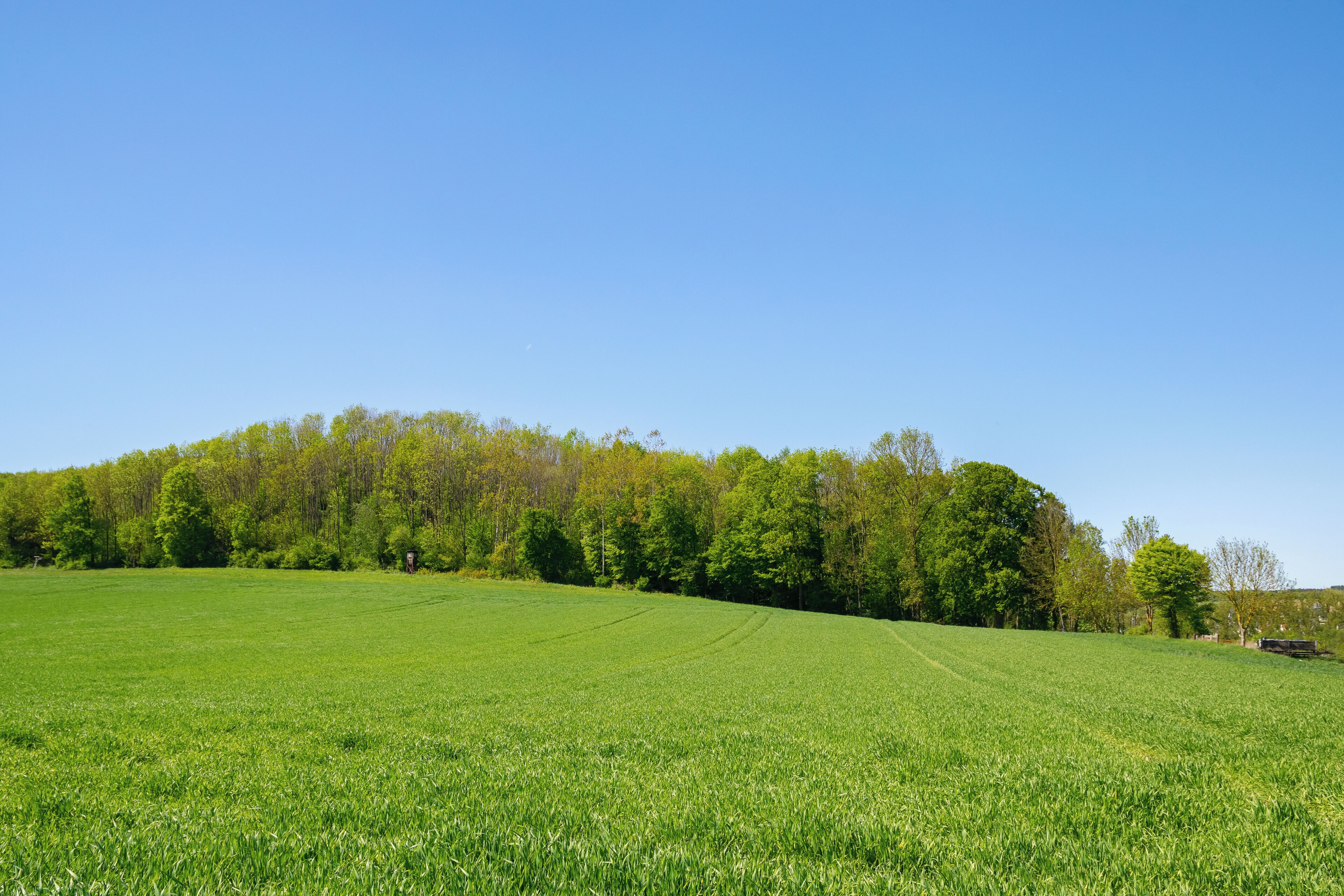 Naturschutzgebiet Drachenholl-Diemelaue, Warburg, Kreis Höxter