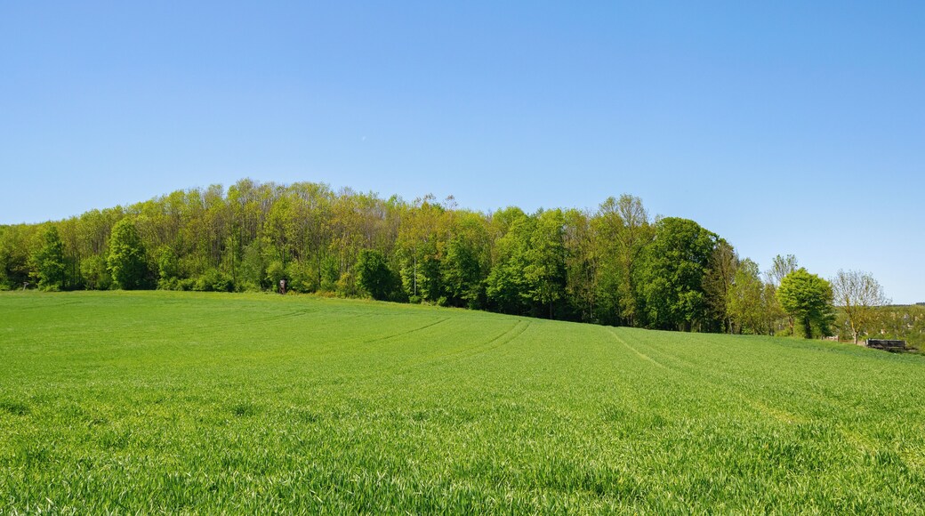Naturschutzgebiet Drachenholl-Diemelaue, Warburg, Kreis Höxter