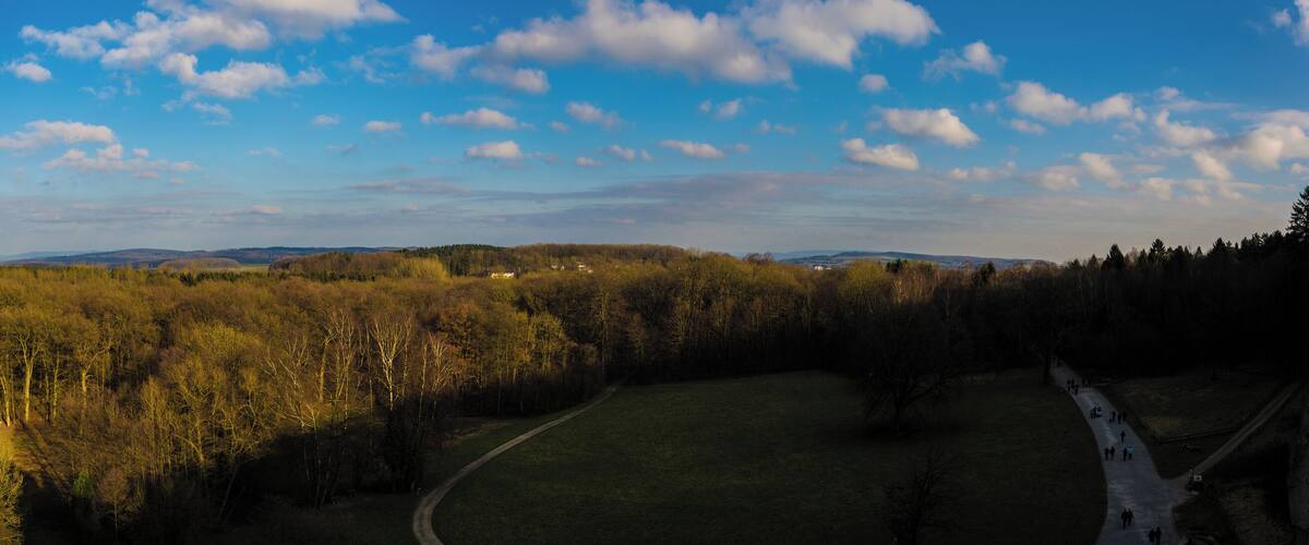 A forested landscape with a clear sky and a winding path.