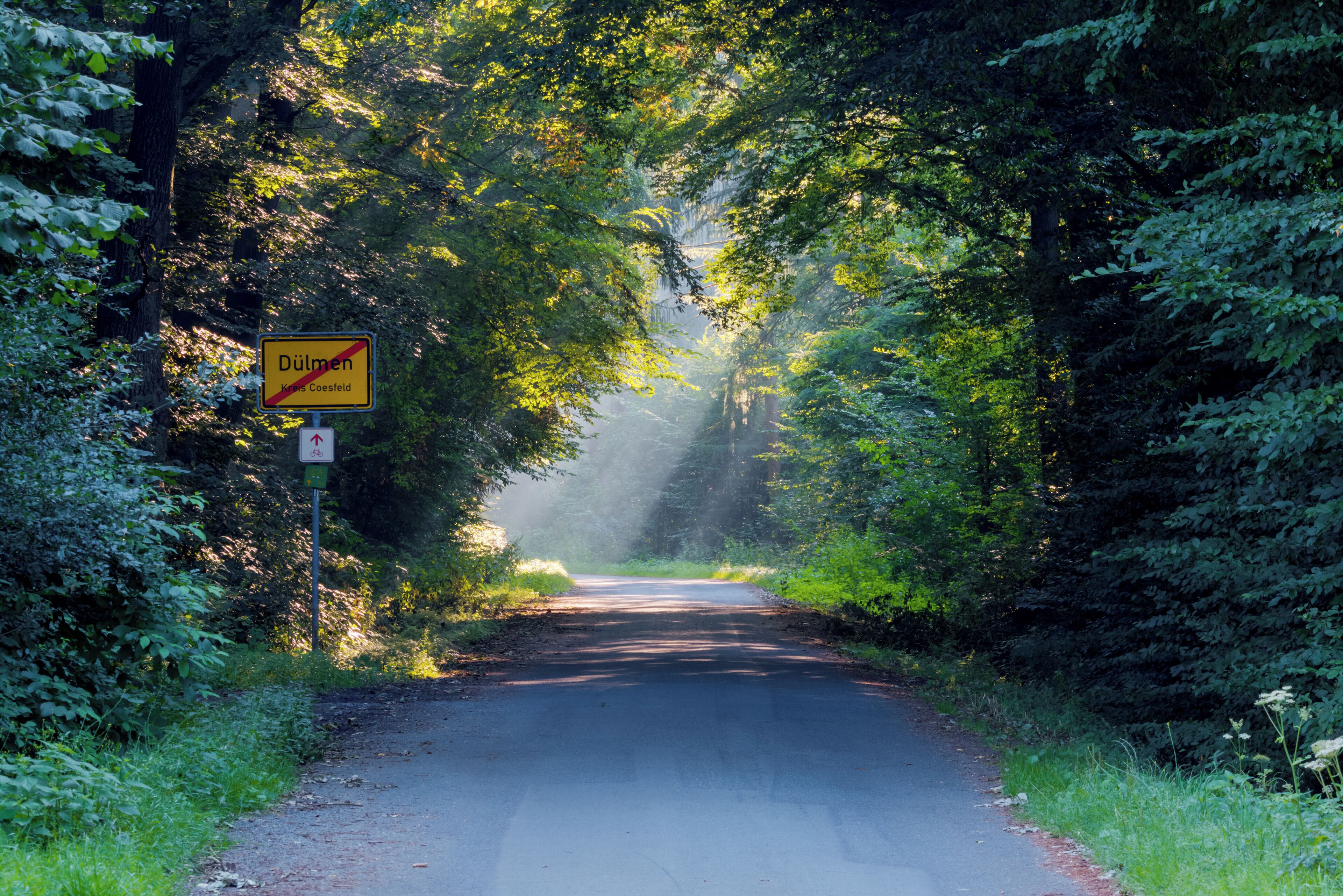 A narrow road flanked by dense green foliage, with a yellow sign indicating 'Dülmen' and 'Kreiskreuz' with a red cross.