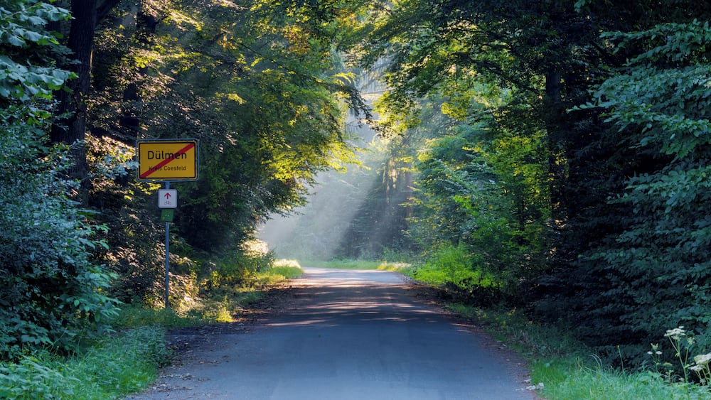 Une route étroite bordée d’une végétation luxuriante, avec un panneau jaune indiquant « Dülmen » et « Kreiskreuz », sur lequel figure une croix rouge.