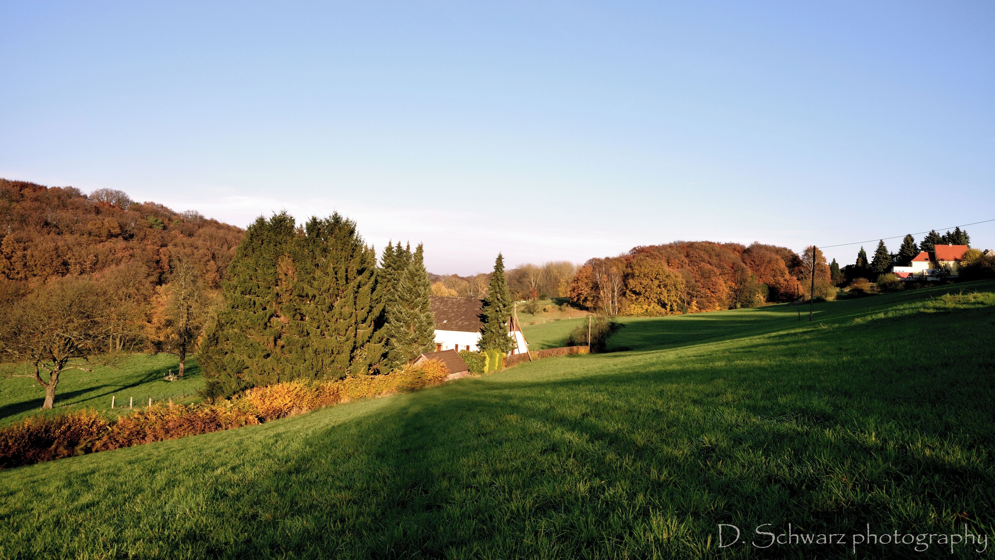 A rural landscape with a green field, a white house, and a forested hill.
