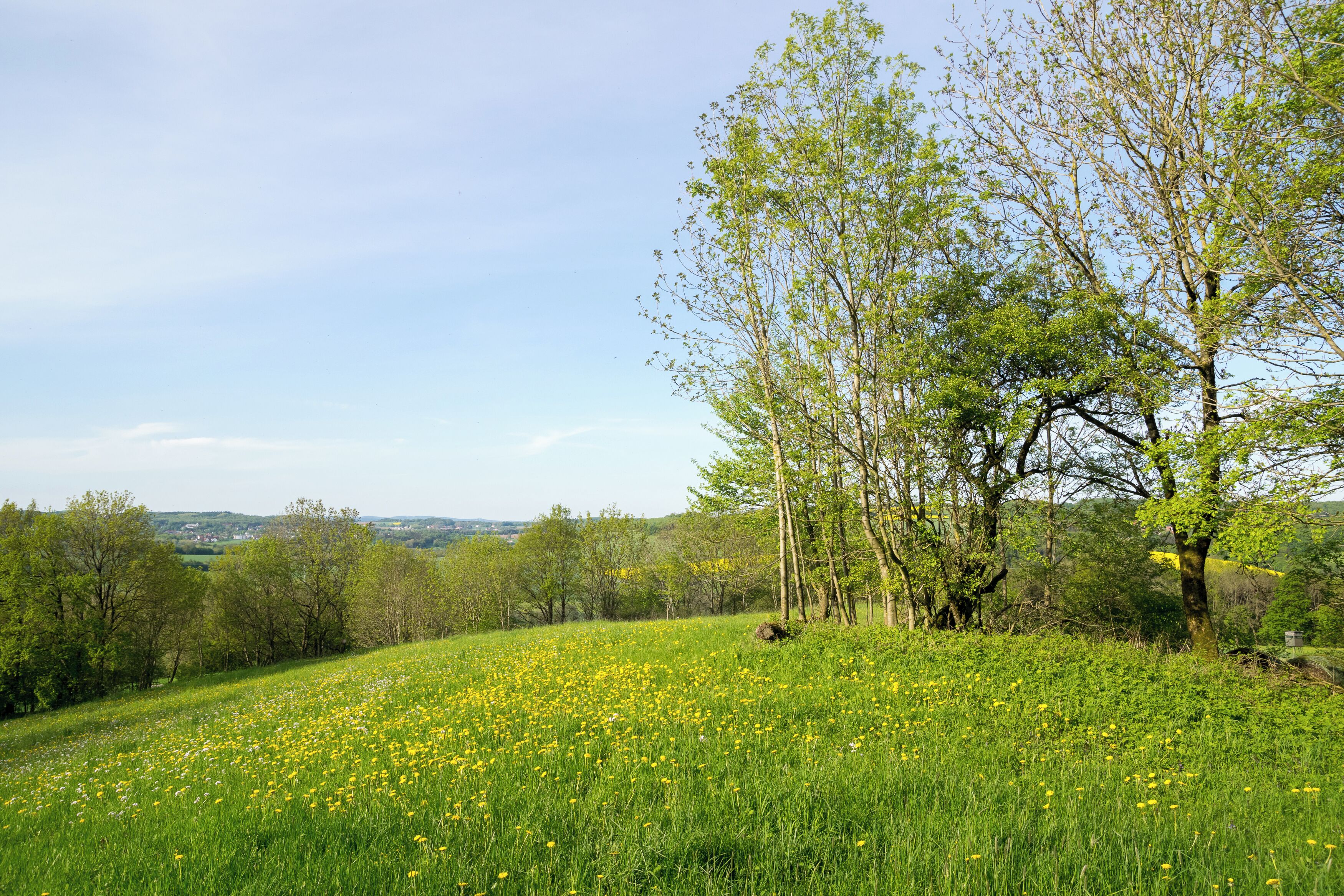 Landschaftsschutzgebiet Egge-Gebiet und Lipper Bergland mit Bielefelder Osning, Paderborner Hochfläche und Hellwegbörden bei Horn-Bad Meinberg-Leopoldstal
