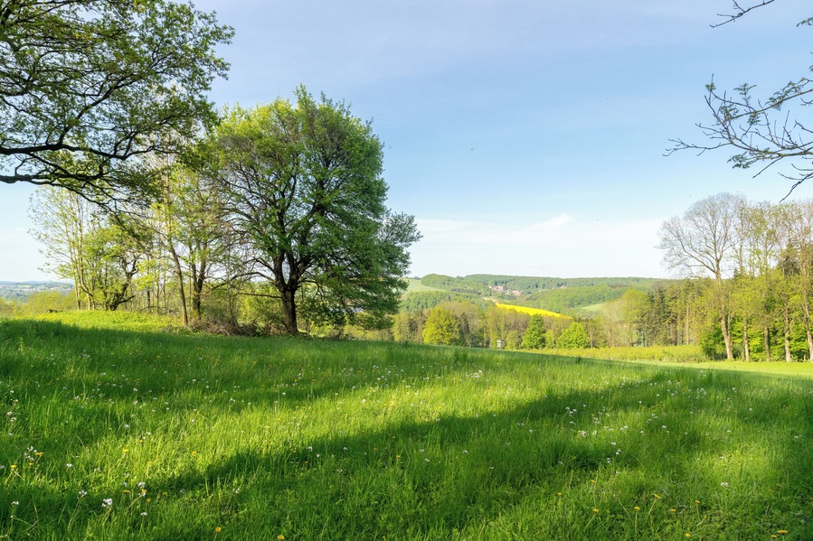 A lush green field with trees and rolling hills in the background.