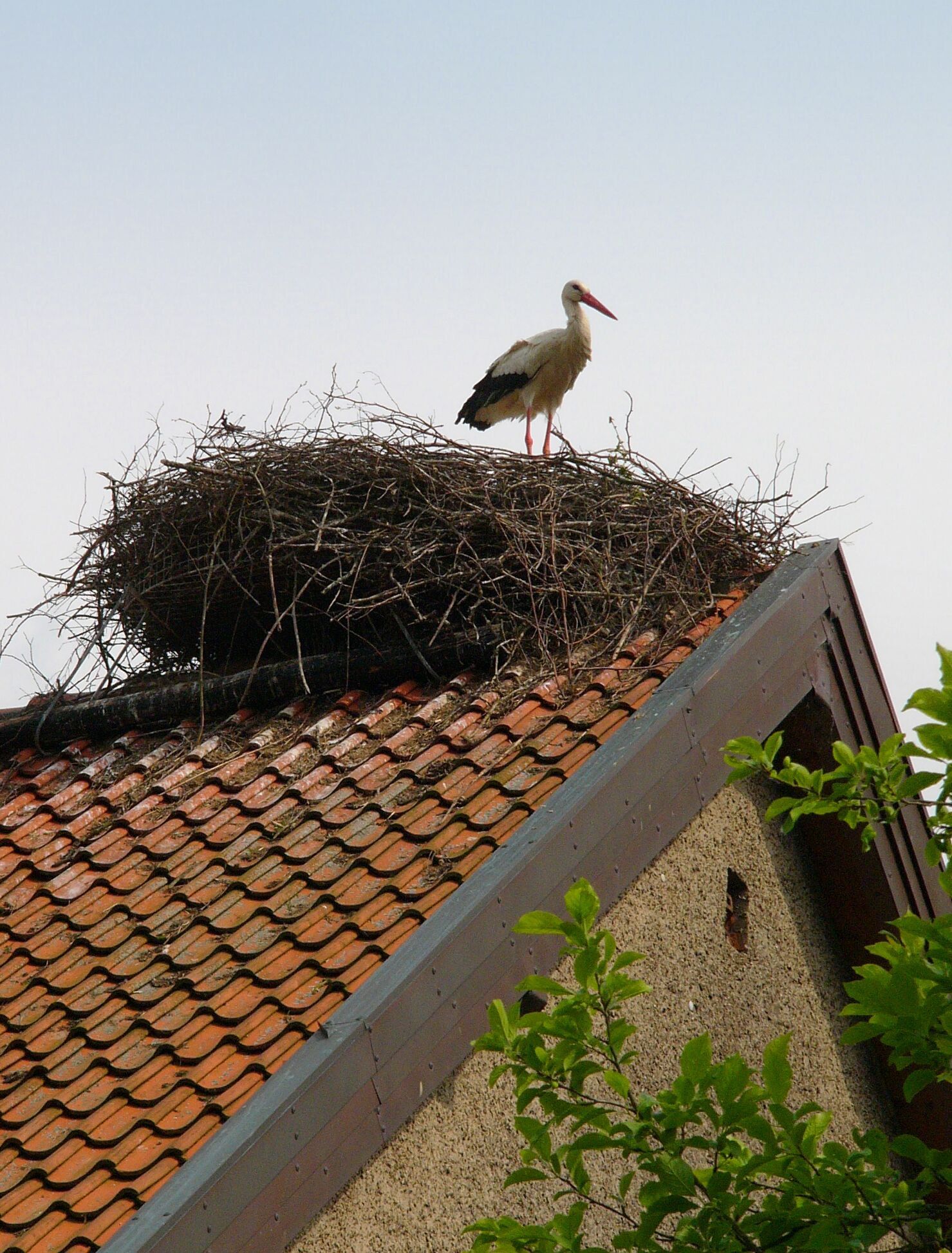 A stork standing on a nest atop a tiled roof.