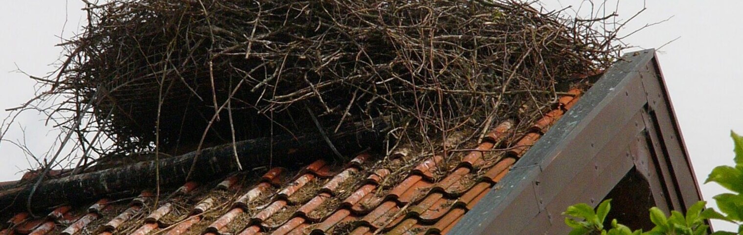 A stork standing on a nest atop a tiled roof.