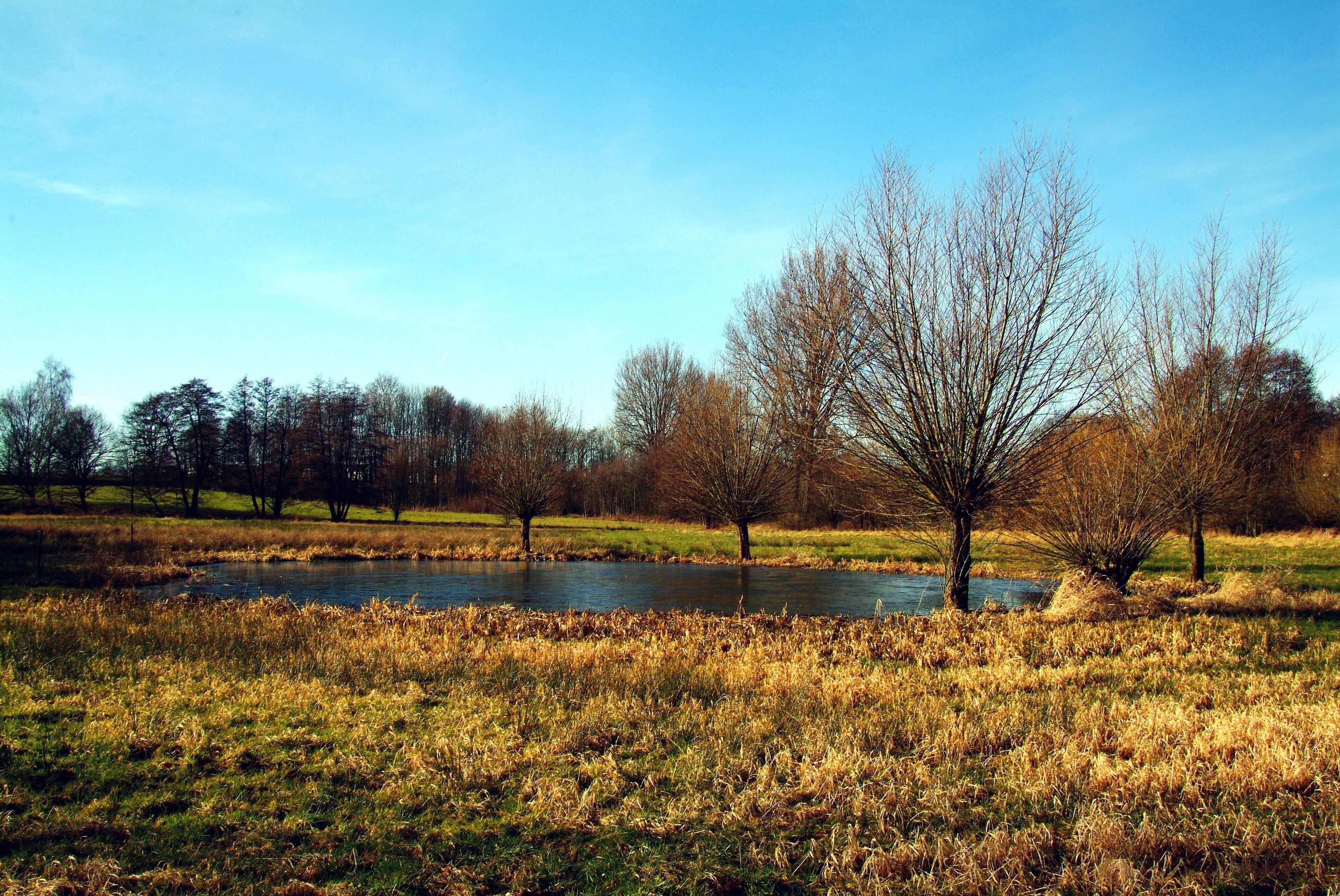 A river, trees, and grassy fields.