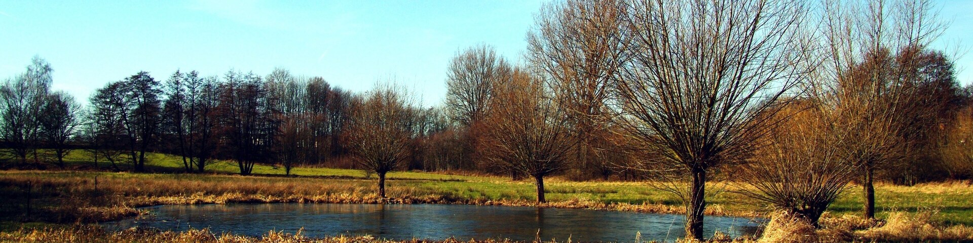 A river, trees, and grassy fields.