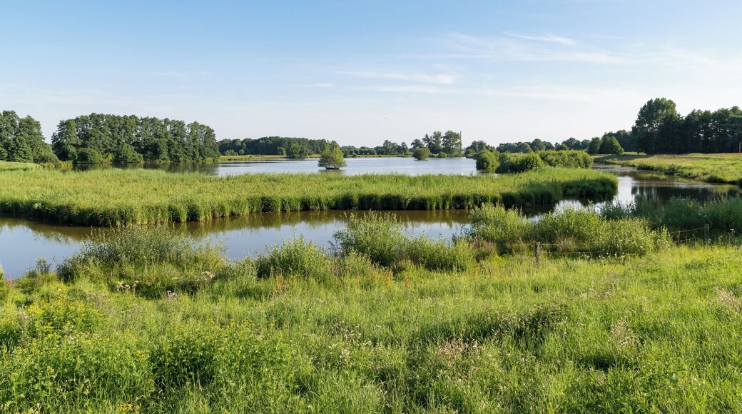 Naturschutzgebiet Steinhorster Becken bei Delbrück, Kreis Paderborn
