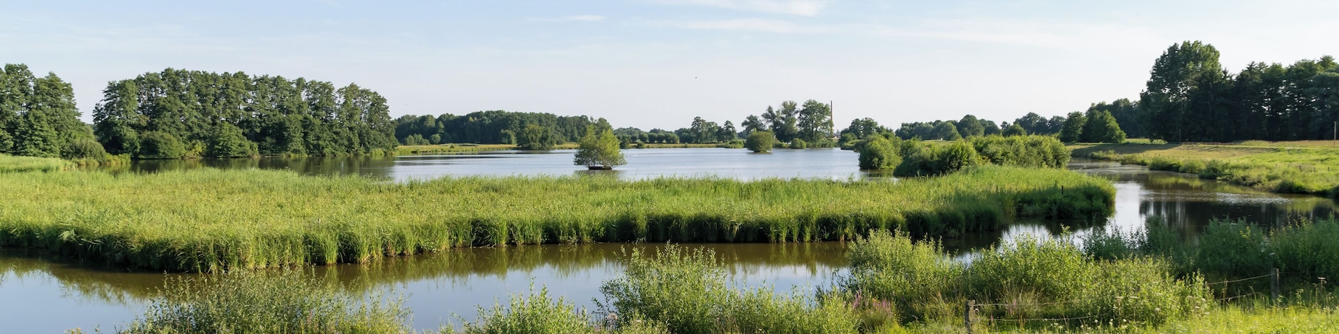 Naturschutzgebiet Steinhorster Becken bei Delbrück, Kreis Paderborn