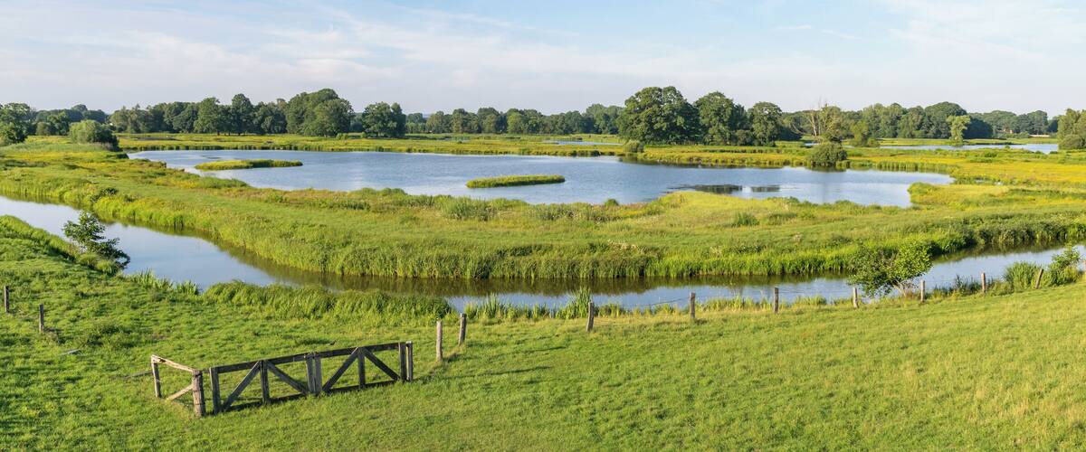Naturschutzgebiet Steinhorster Becken bei Delbrück, Kreis Paderborn