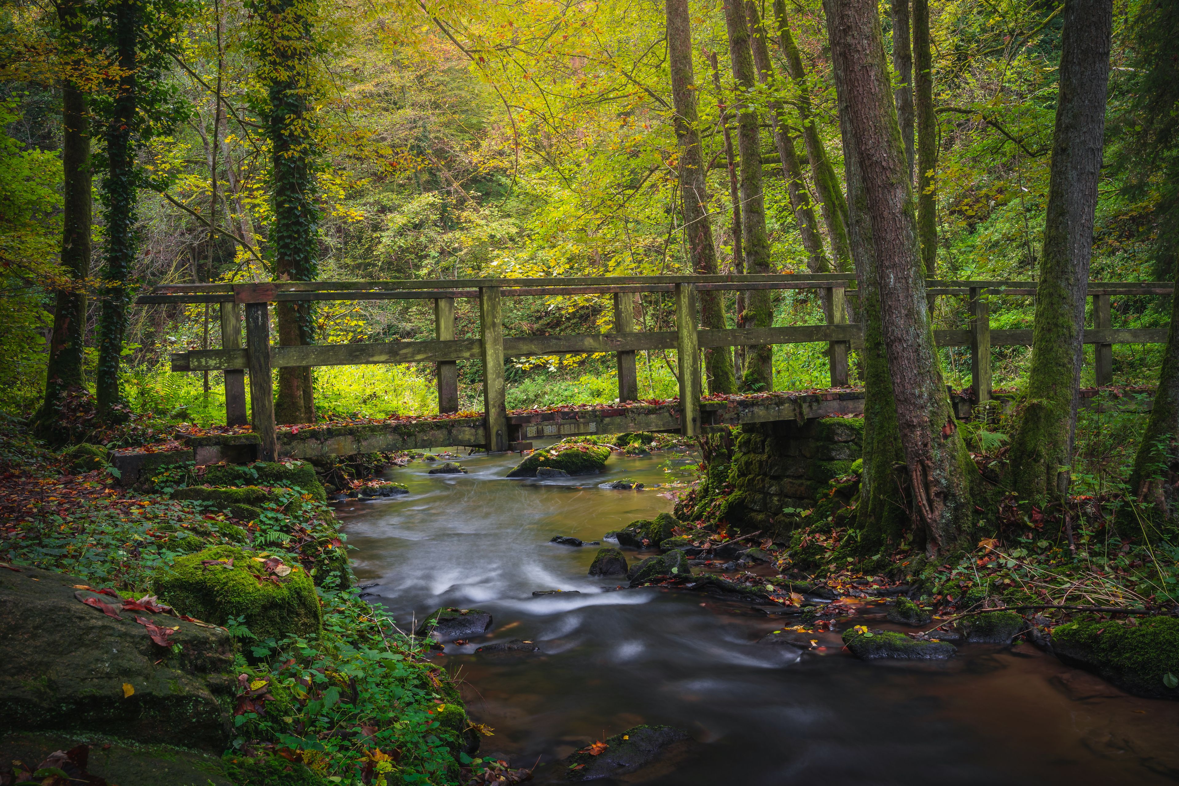 A wooden bridge over a flowing stream in a forested area with moss-covered rocks and trees.