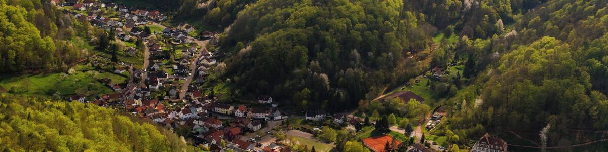 Title: View from the Trifels to Annweiler Designation: Palatinate Forest Nature Park Type: Nature park Number: NTP-073-056 Year of the regulation: 1958 Description: With its very high forest share (76%), the nature park is the largest contiguous forest area in Germany. It is characterized by a diverse and impressive red sandstone landscape, rocks and acidophilous beech and pine forests as they show up anywhere else in Germany. Place: Annweiler am Trifels, Collective municipality Annweiler am Trifels, District Südliche Weinstraße, Rhineland-Palatinate, Germany Location: Trifels