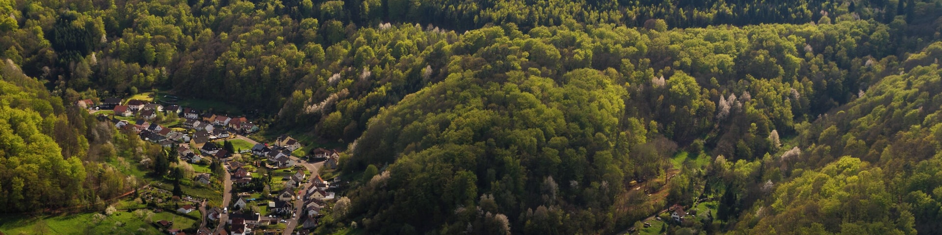 Title: View from the Trifels to Annweiler Designation: Palatinate Forest Nature Park Type: Nature park Number: NTP-073-056 Year of the regulation: 1958 Description: With its very high forest share (76%), the nature park is the largest contiguous forest area in Germany. It is characterized by a diverse and impressive red sandstone landscape, rocks and acidophilous beech and pine forests as they show up anywhere else in Germany. Place: Annweiler am Trifels, Collective municipality Annweiler am Trifels, District Südliche Weinstraße, Rhineland-Palatinate, Germany Location: Trifels
