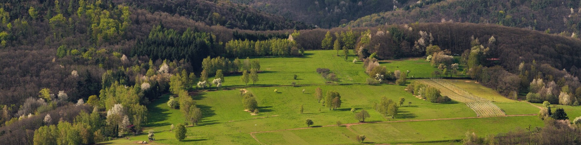 Title: View from the Trifels to the north Designation: Palatinate Forest Nature Park Type: Nature park Number: NTP-073-056 Year of the regulation: 1958 Description: With its very high forest share (76%), the nature park is the largest contiguous forest area in Germany. It is characterized by a diverse and impressive red sandstone landscape, rocks and acidophilous beech and pine forests as they show up anywhere else in Germany. Place: Annweiler am Trifels, Collective municipality Annweiler am Trifels, District SĂŒdliche WeinstraĂe, Rhineland-Palatinate, Germany Location: Trifels